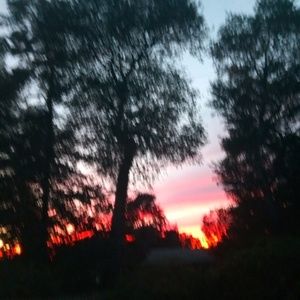 Meet your Posher, Kathleen